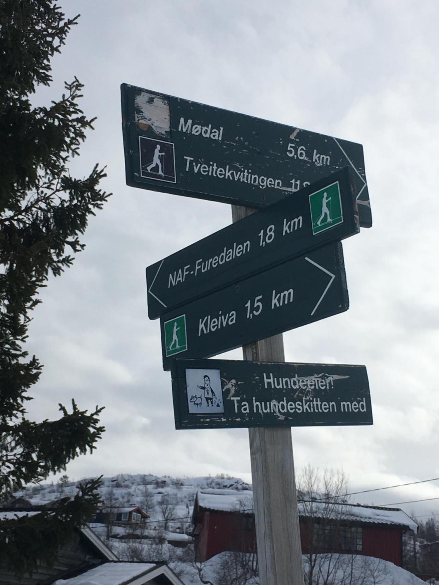 Kvamskogen & Hardanger Holliday Homes Norheimsund Ngoại thất bức ảnh