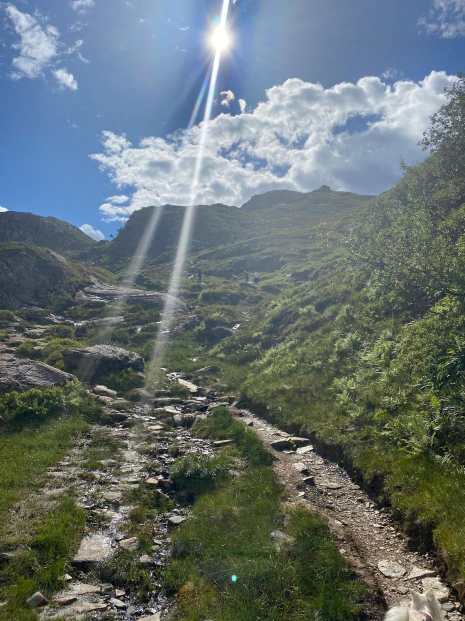 Kvamskogen & Hardanger Holliday Homes Norheimsund Ngoại thất bức ảnh