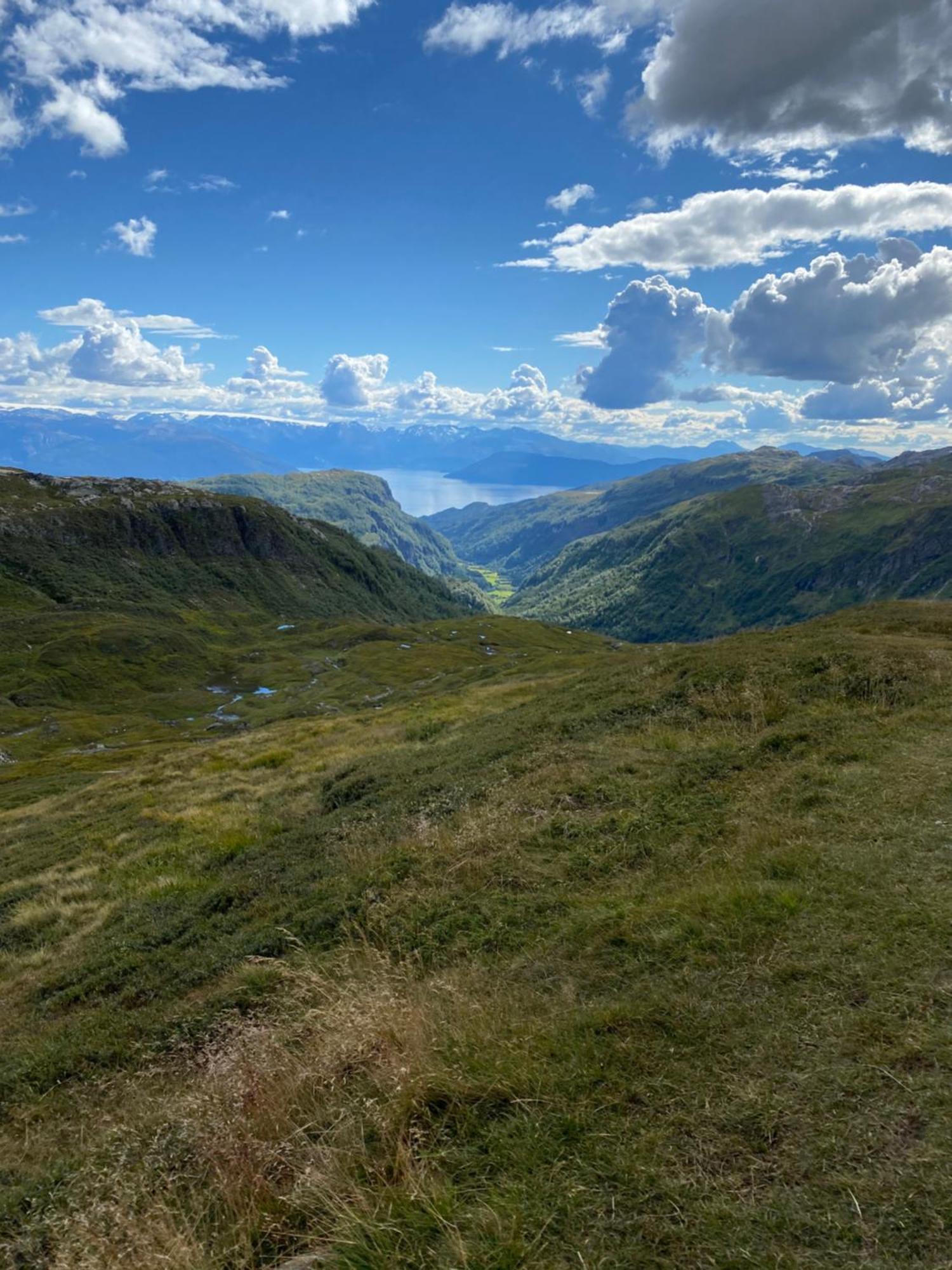 Kvamskogen & Hardanger Holliday Homes Norheimsund Ngoại thất bức ảnh